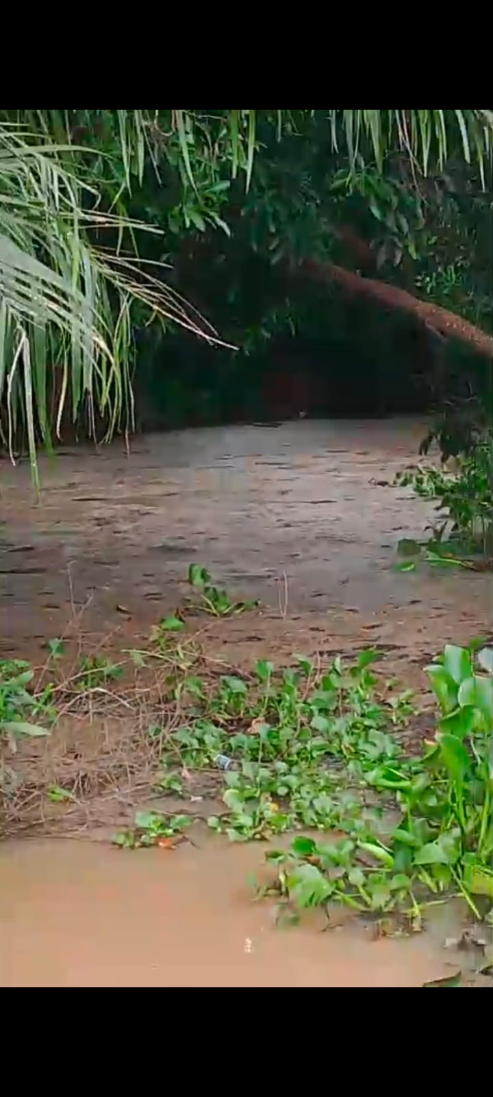 Pabrik Tomo Diduga Langgar UU BPJS Nomor 24 Tahun 2011, Dan Karyawan Lepas.